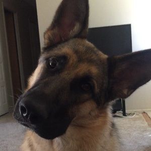 Meet your Posher, Kasie